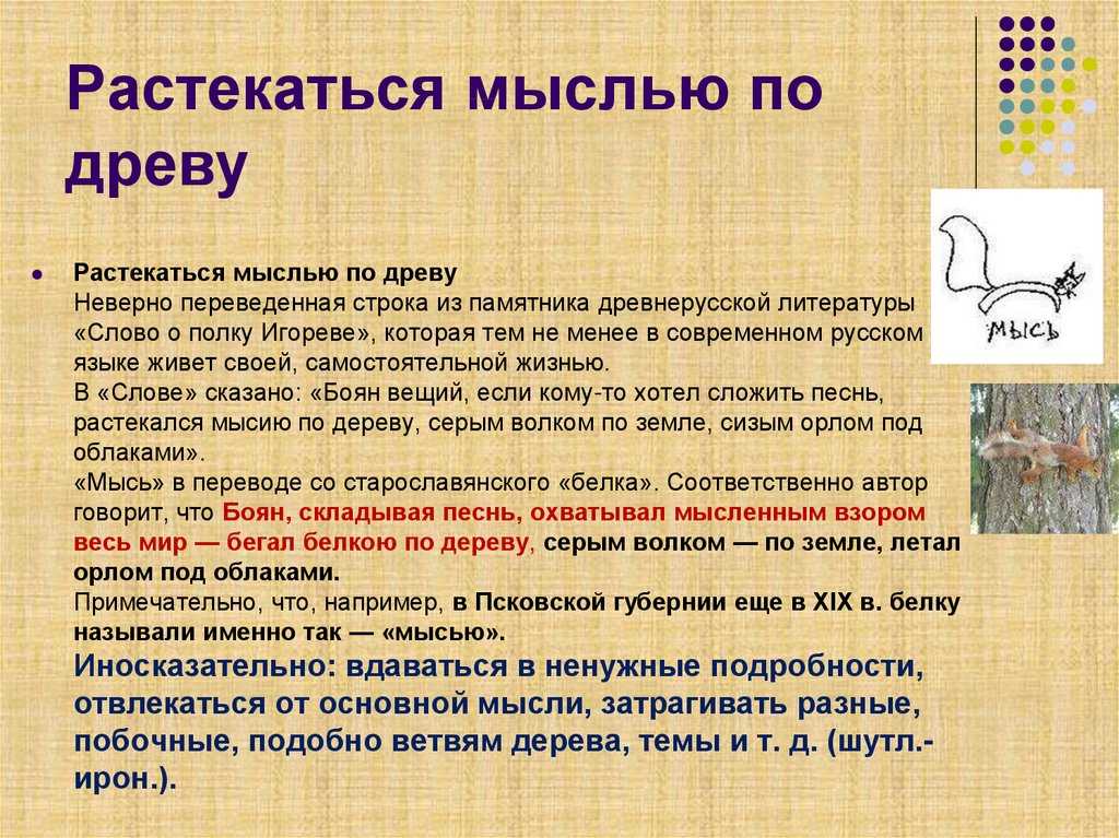 Растекаться мыслью по древу звучит куда логичнее, чем растекаться мысью Да и что вообще такое мысь Расскажем в коротком выпуске Грамотности — и выберем вариант, который одобряют лингвисты