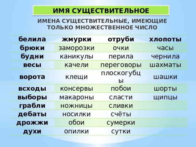 Метел — однокоренные слова к слову, родственные и проверочные слова