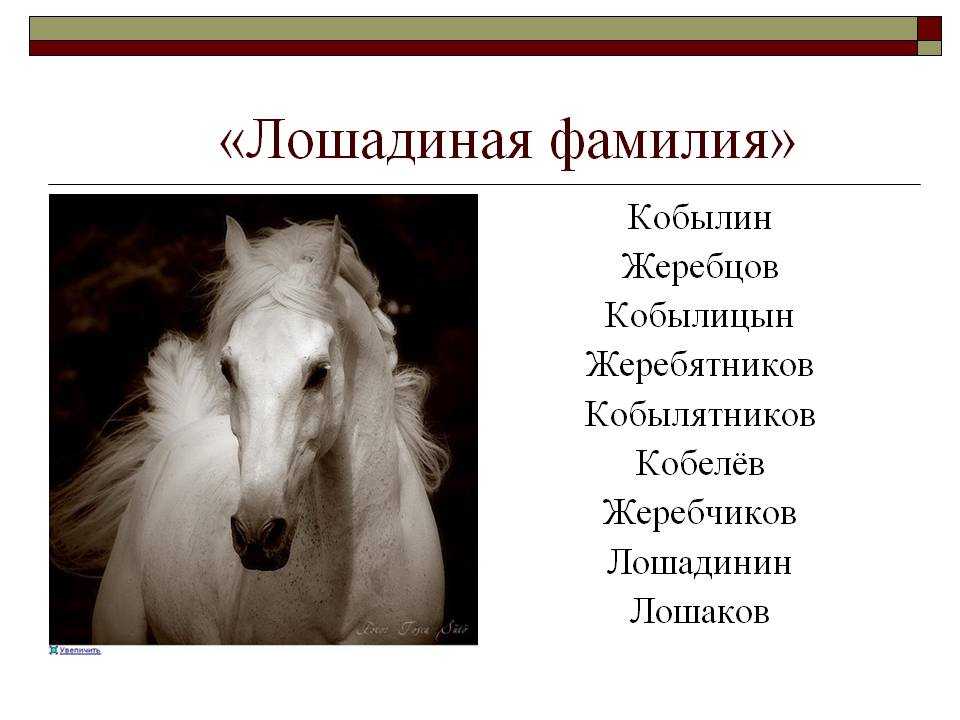 Рассказы чехова для детей
