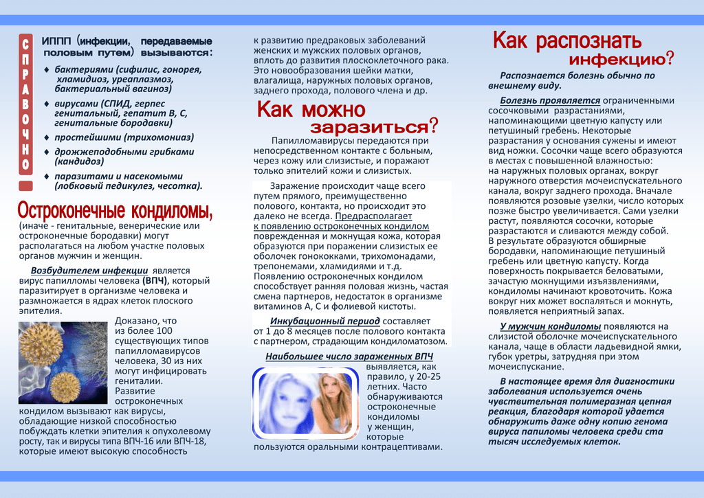 Вакцинация от впч: стоит ли делать прививку и в каком возрасте?