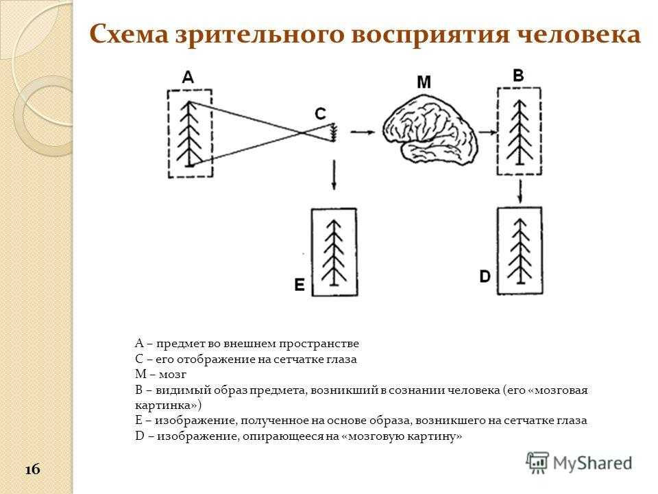 Позиционирование битва за умы