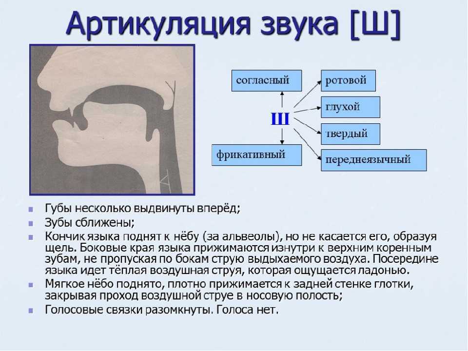 Комплекс артикуляционной гимнастики для шипящих звуков ш, ж, щ, ч в картинках