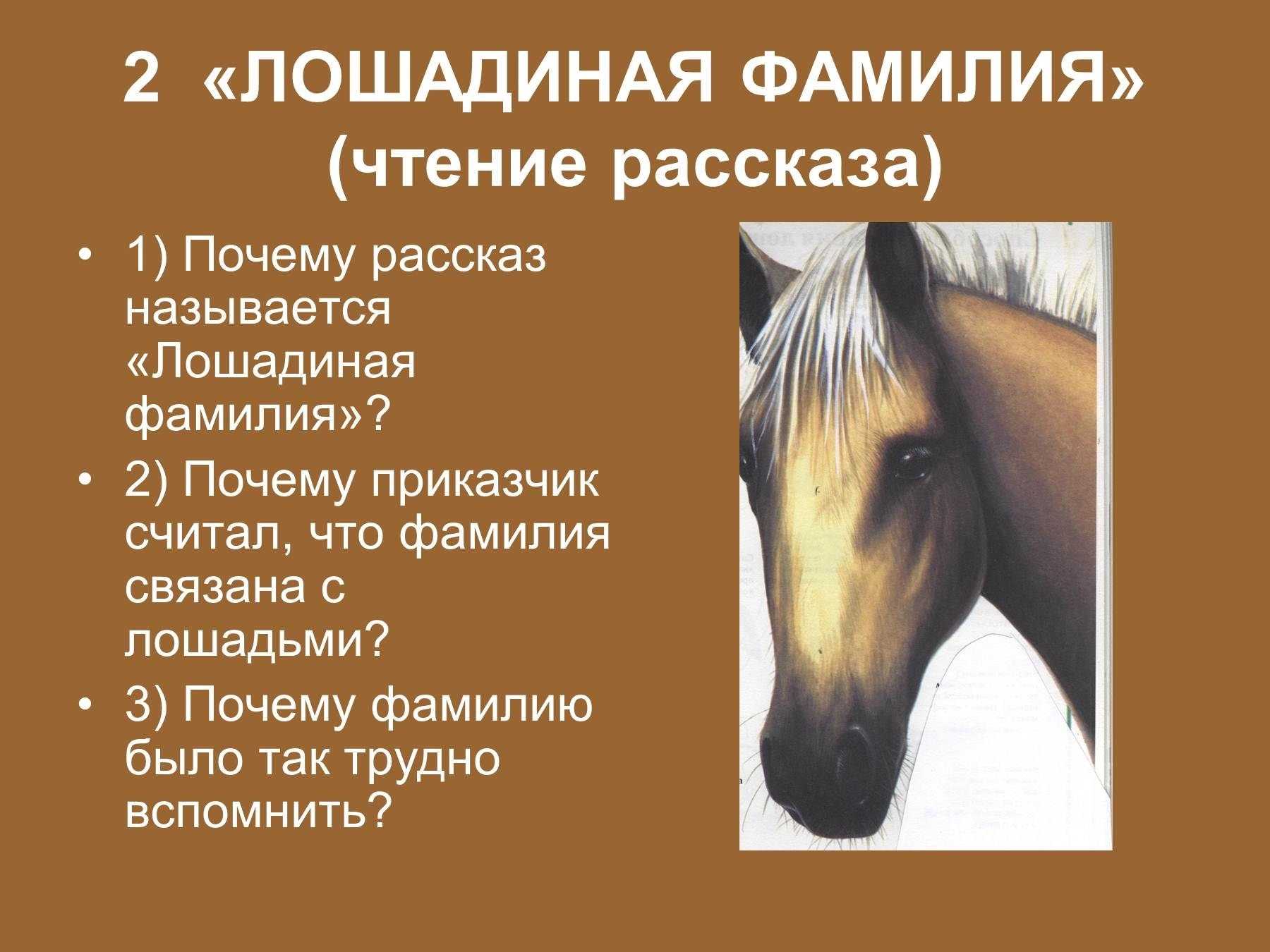 Говорящие фамилии в рассказе а. п. чехова «лошадиная фамилия» | статья в журнале «юный ученый»