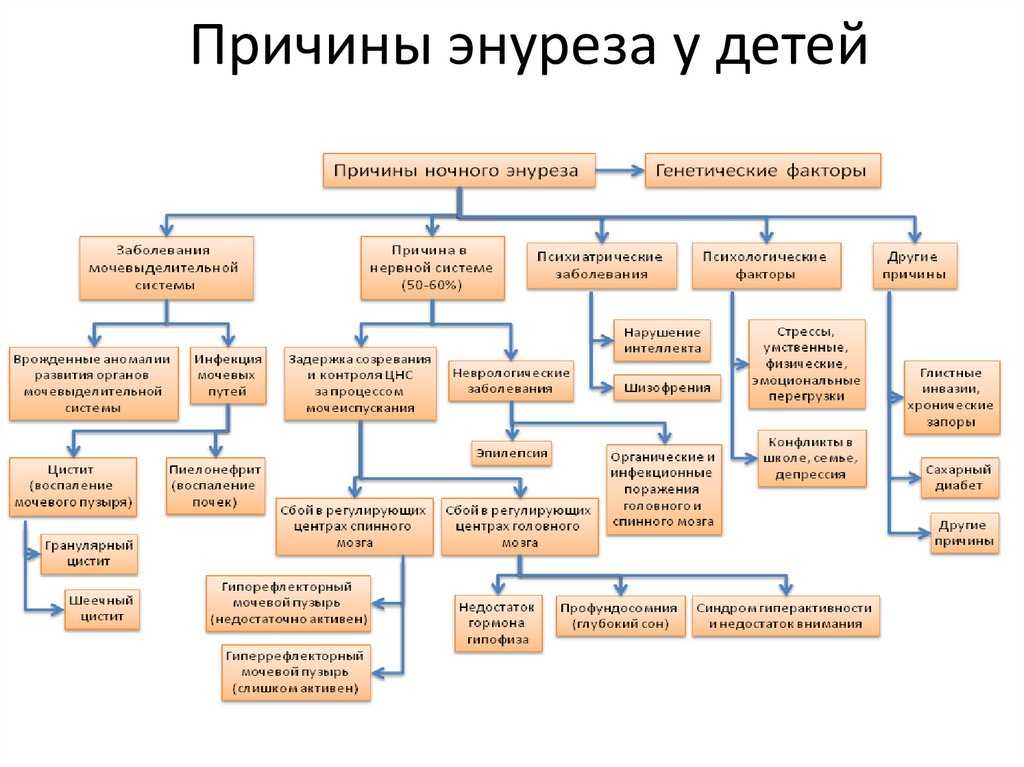 Ребенок писает в кровать (hочное недержание мочи). что делать и как лечить. - здоровье прежде всего!
