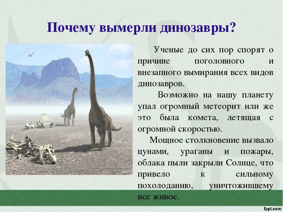 Интересные факты о динозаврах: топ-10