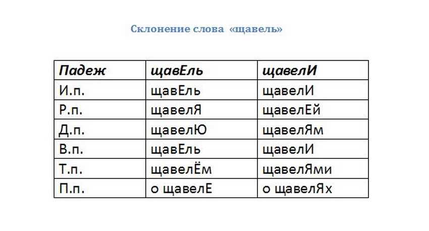 Зелёные щи со щавелем и яйцом - 5 рецептов супа из свежего щавеля