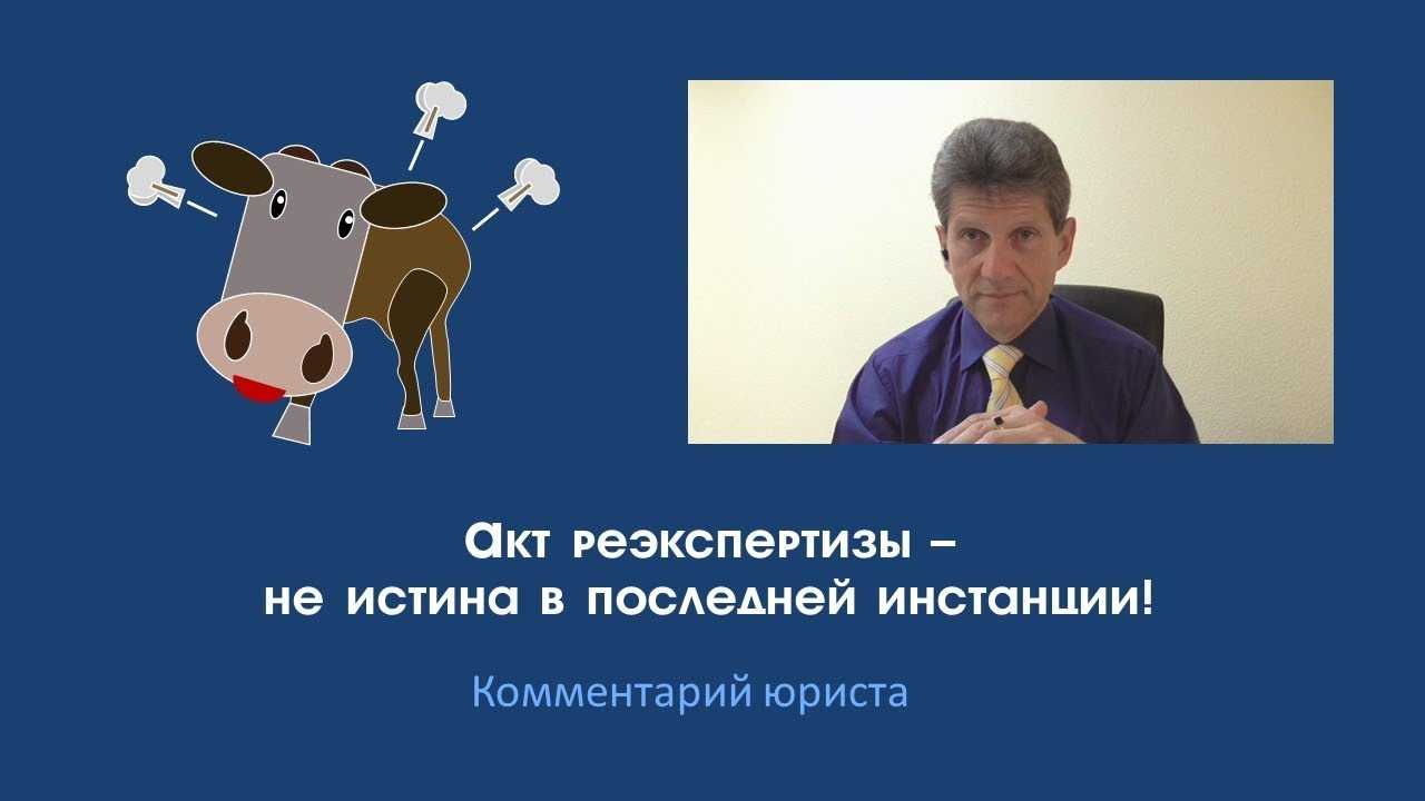 Истина последней инстанции: что это означает и почему это важно?