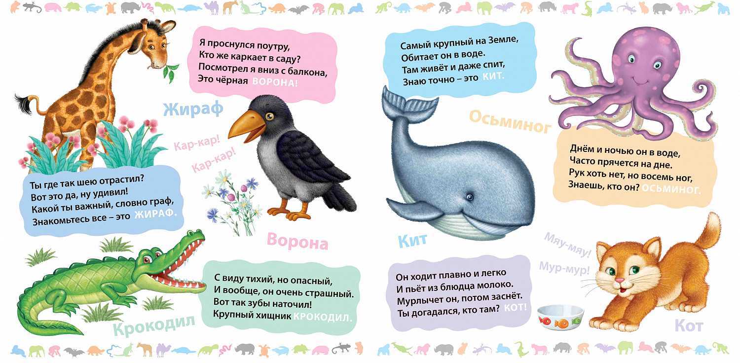Загадки про животных для детей 6-7 лет с ответами