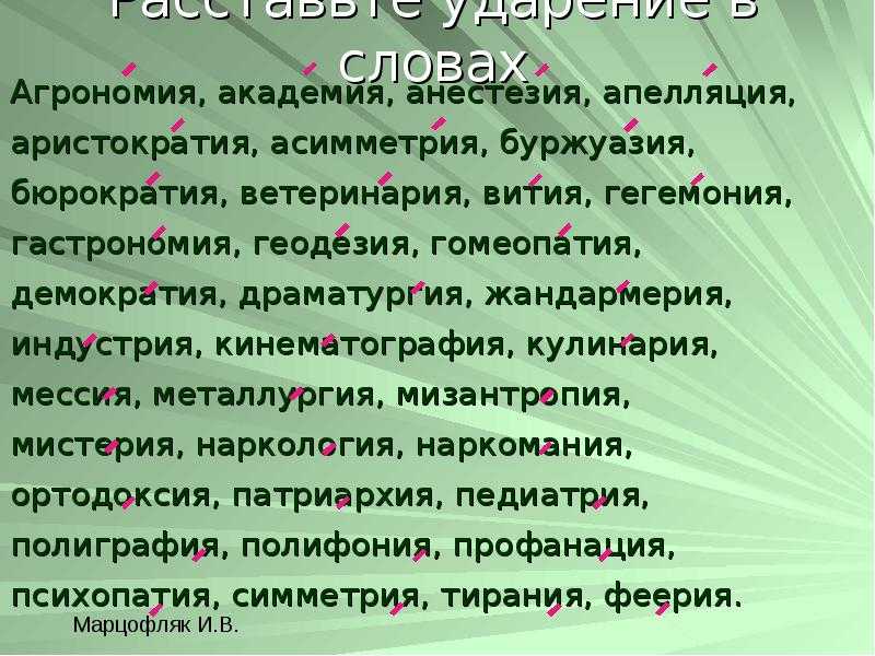 Презентация по русскому языку на тему симметрия (11 класс)  доклад, проект
