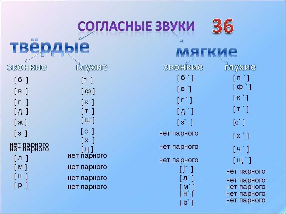 Мягкие согласные буквы в русском языке – правило и примеры звуков в таблице (1 класс)