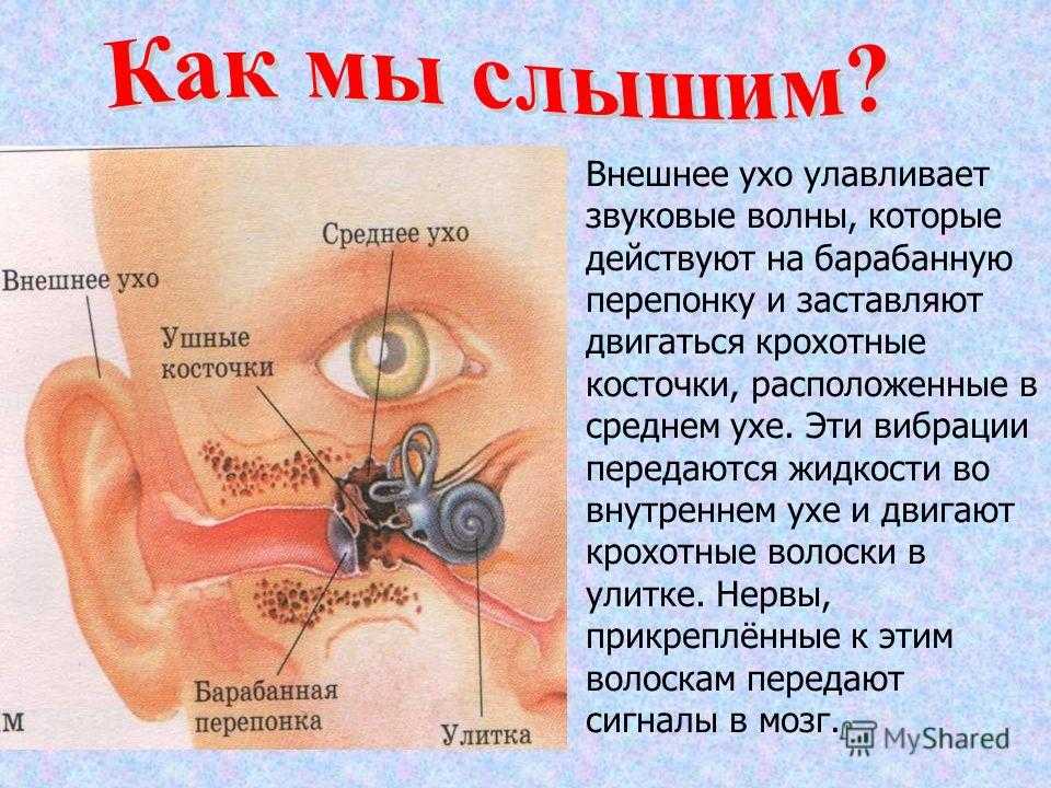 Что делать и как реагировать, если ребенок игнорирует родителей