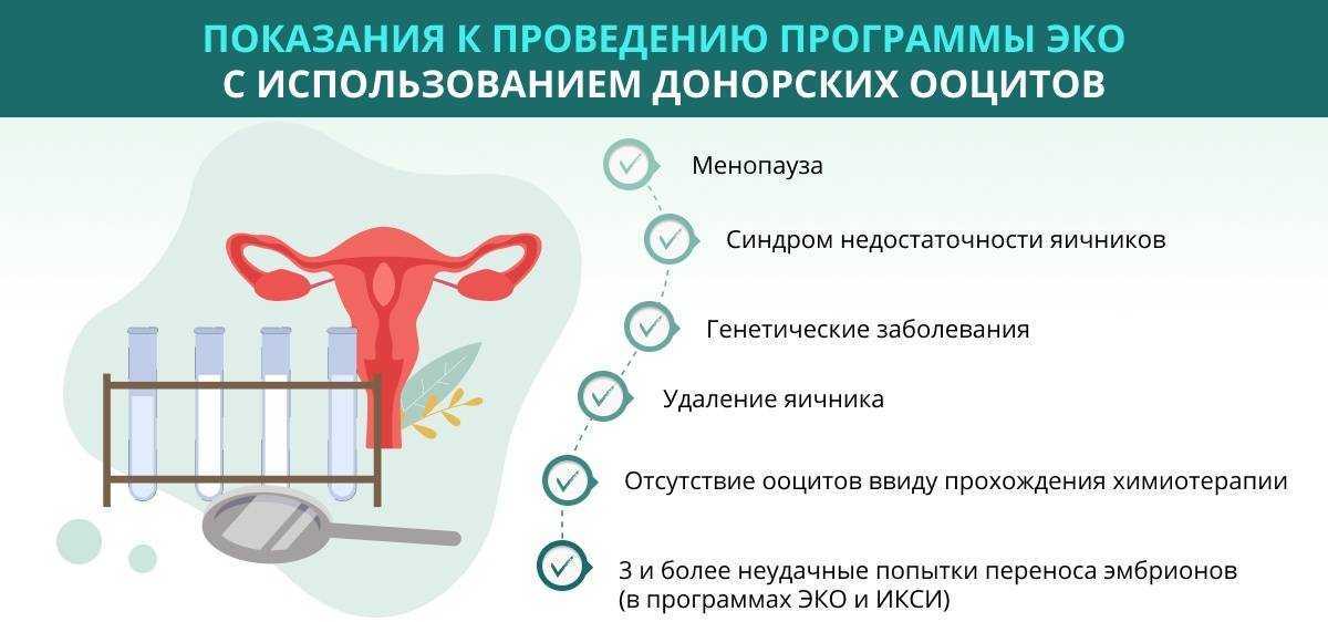 Как сдают сперму доноры? что для этого нужно?