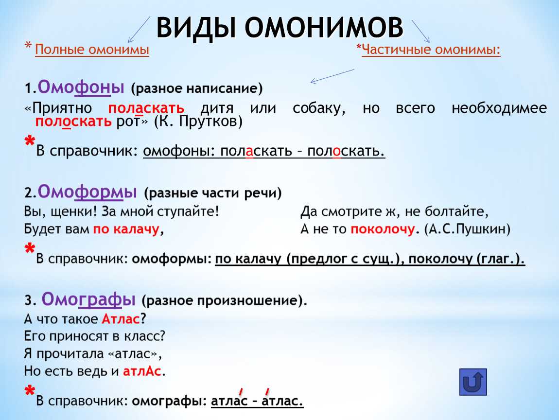 Что такое омонимы (виды и типы) + много примеров использования