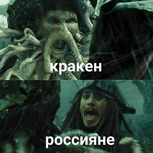 Кракен: жуткое морское чудовище осьминог – мифы и легенды