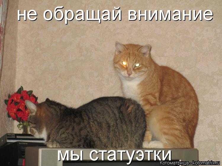 Не обращают внимание или внимания: как правильно: «не обращай внимание» или «не обращай внимания» —  gazeta-volga.ru