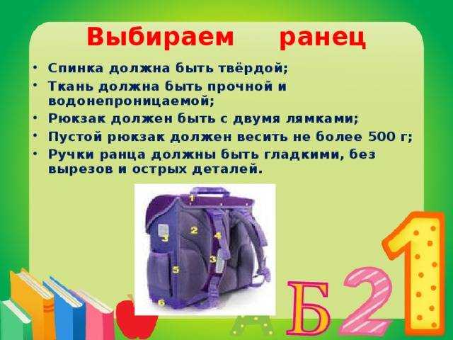 Как правильно выбрать школьный портфель? каким должен быть ранец для школы?