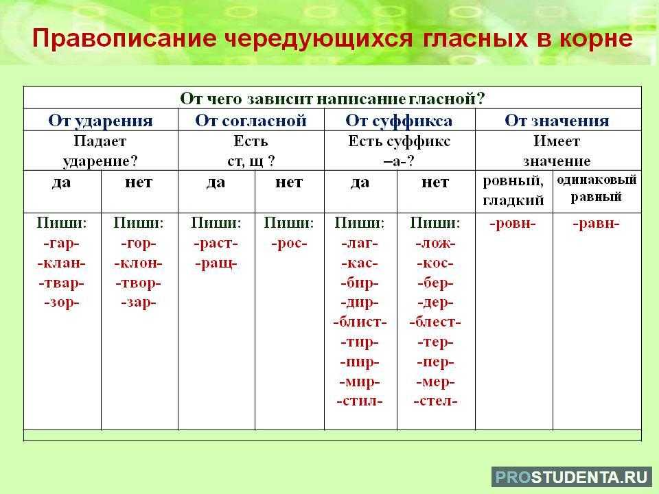 Русский язык