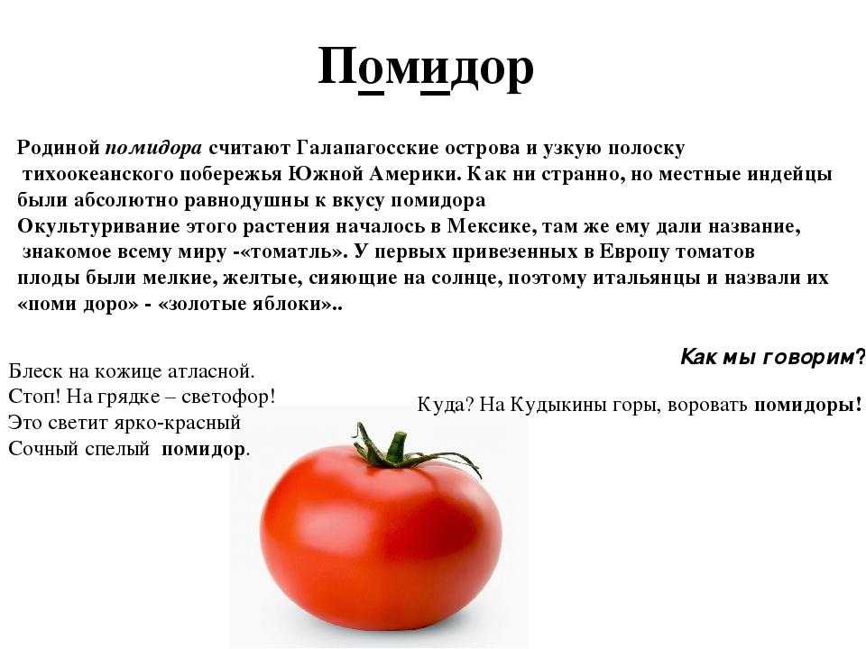 Помидор это фрукт или овощ?