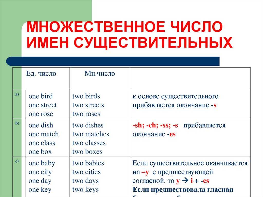 Как объяснить ребёнку тему «единственное и множественное число имён существительных»