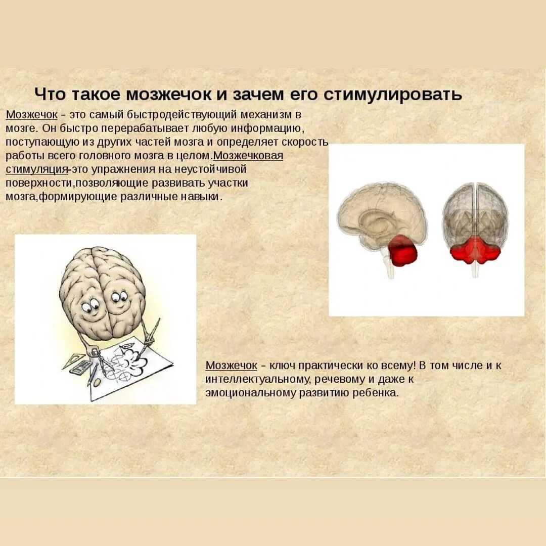 Мозжечковая стимуляция - занятия на балансировочной доске баламетрикс
