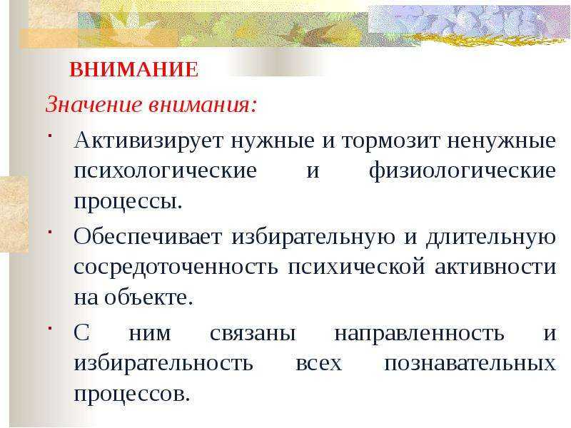 Как развивать внимательность и усидчивость у вашего ребенка | психология внутри