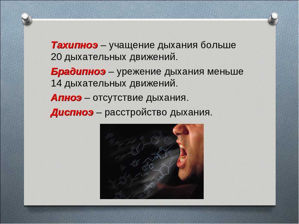 Наладом дышит — что это значит и почему так важно