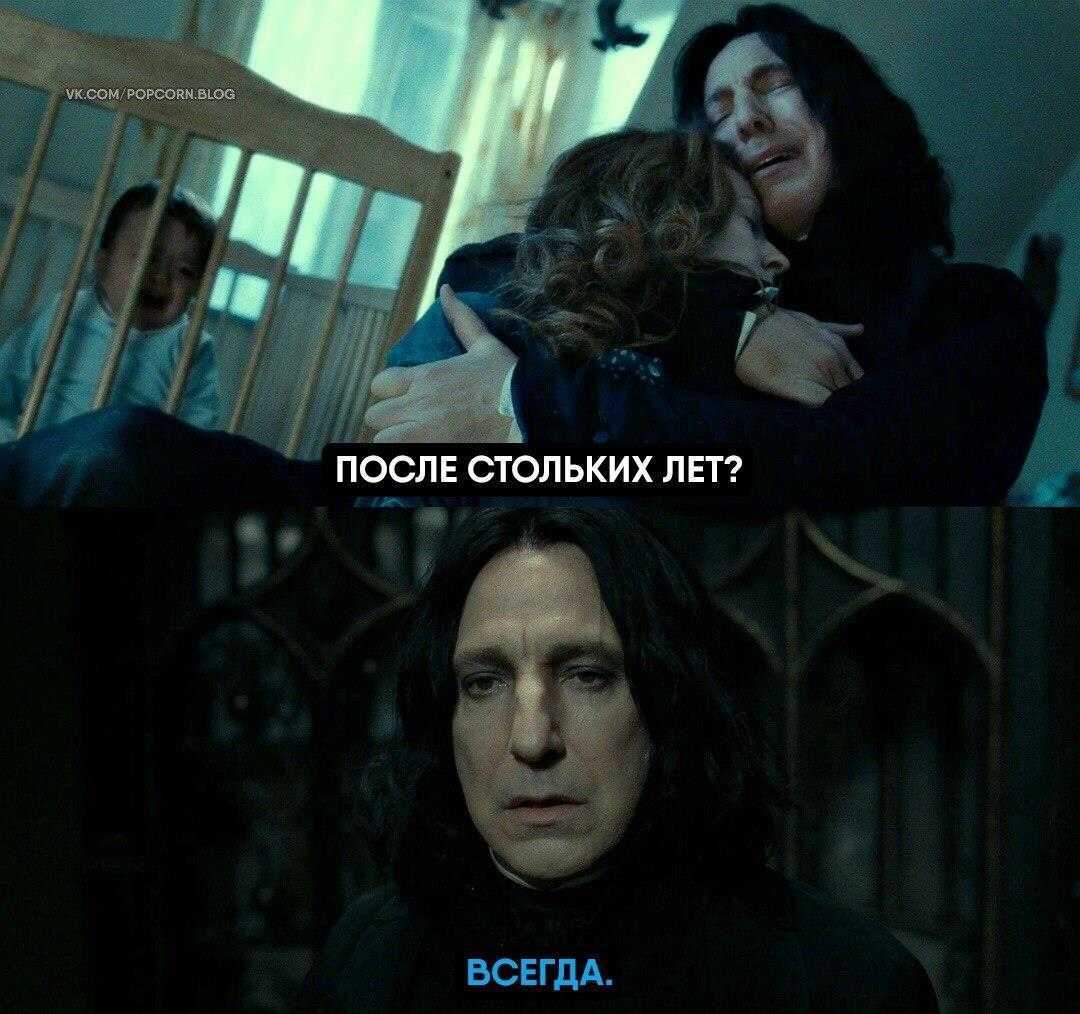 Тесты