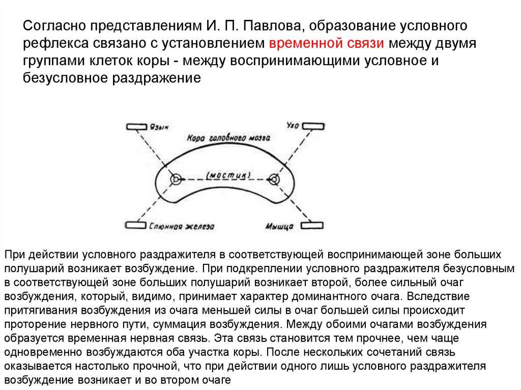 Как научить ребёнка жевать твёрдую пищу