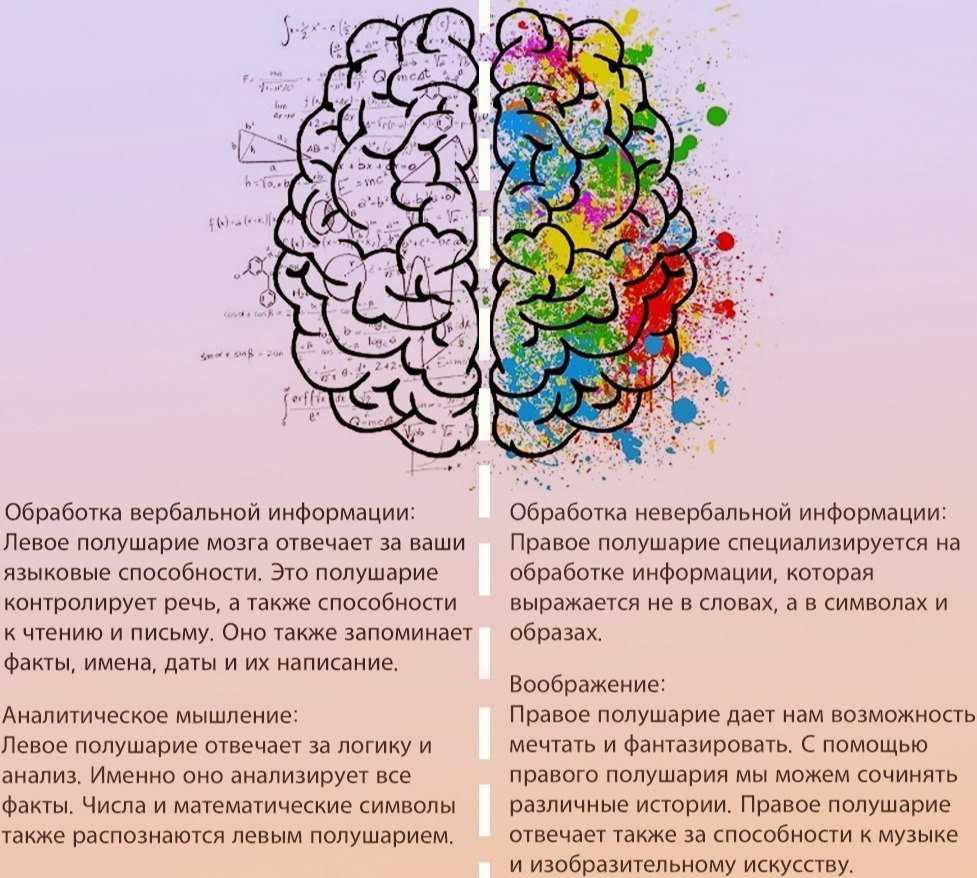 Развитие мозга: полезные советы и упражнения