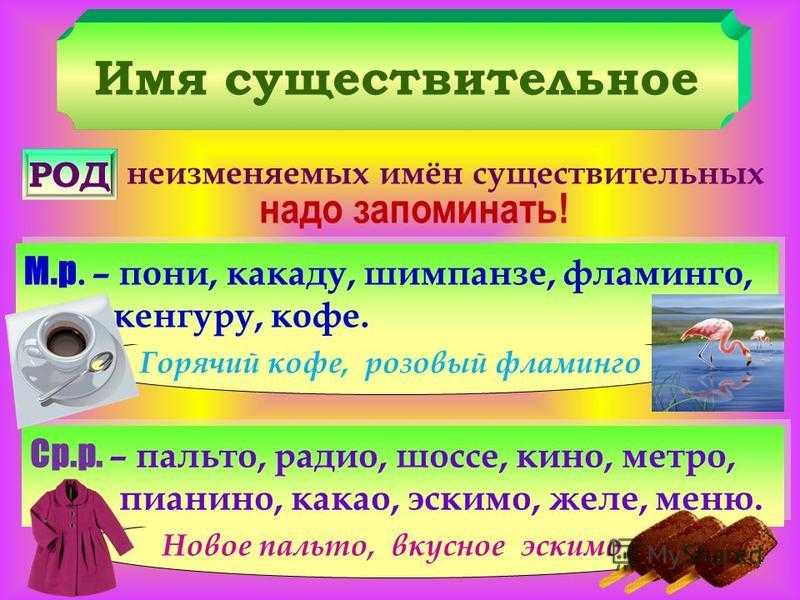Род  кофе мужской или средний