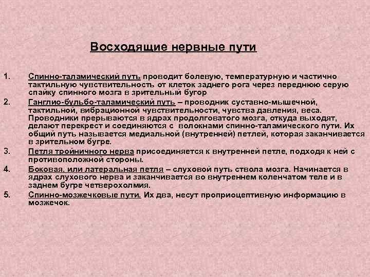 Неврологических основ логопедии это