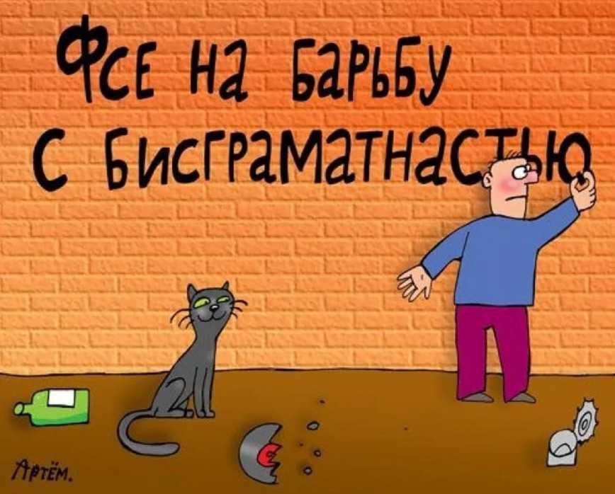 В чем разница между лифчиками и бюстгалтерами: определение понятий