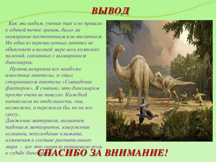 Интерес ребёнка к динозаврам говорит о его высоком интеллекте