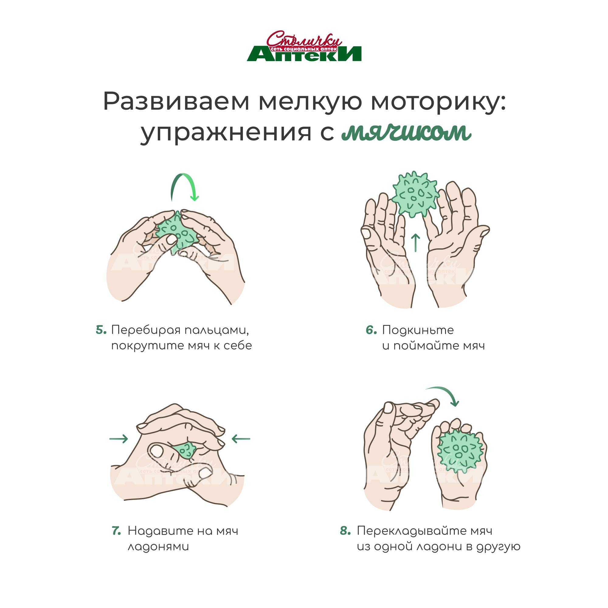 Взаимосвязь мелкой моторики с умственным и речевым развитием