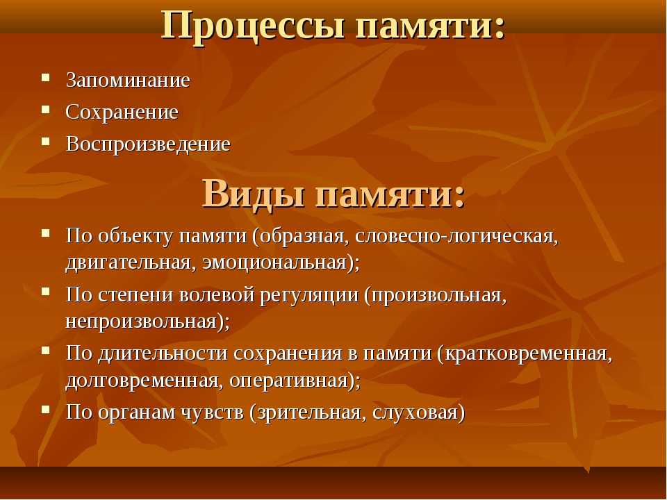 6 упражнений для развития памяти ребёнка