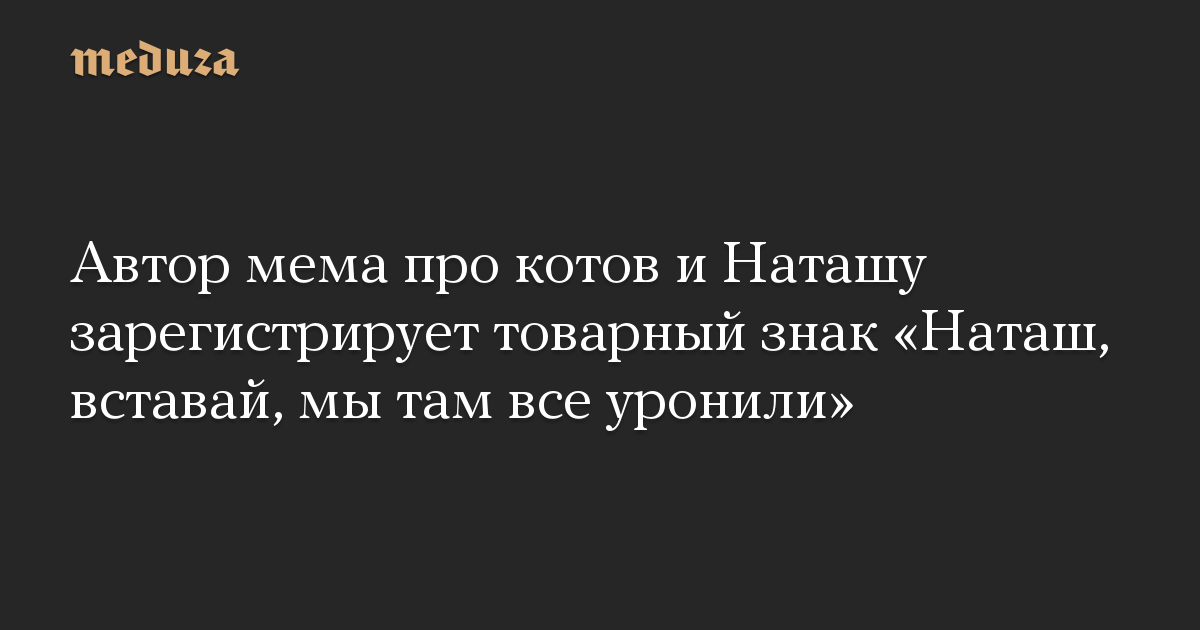 Кот error мем
