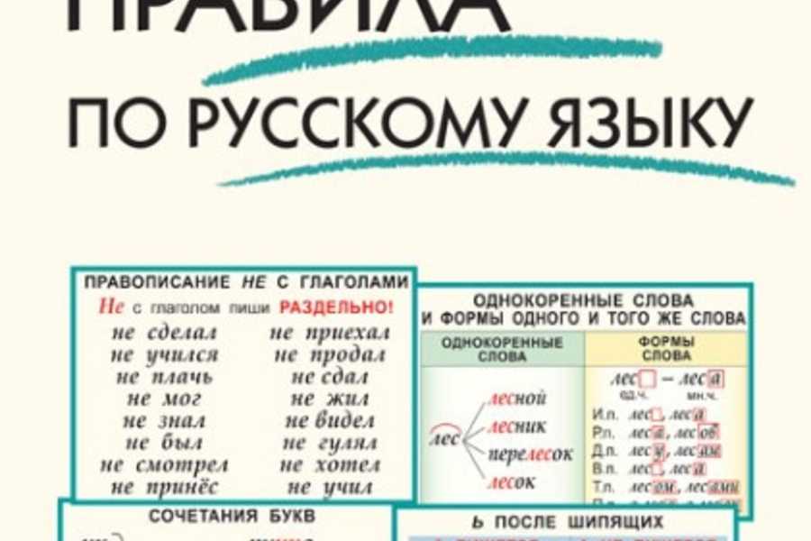 Самые частые ошибки в русском языке