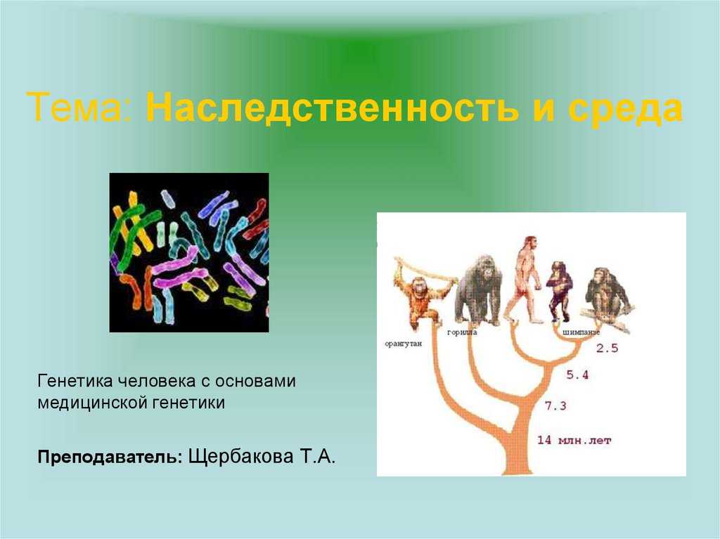 Первоначально вопрос о детерминации развития человека был поставлен в философии