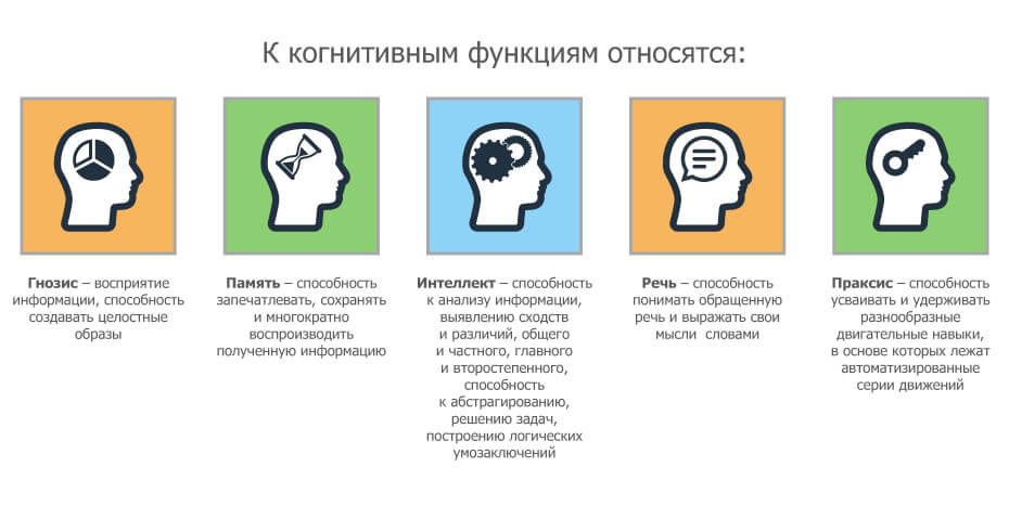 4 этапа когнитивного развития жана пиаже | окна.news