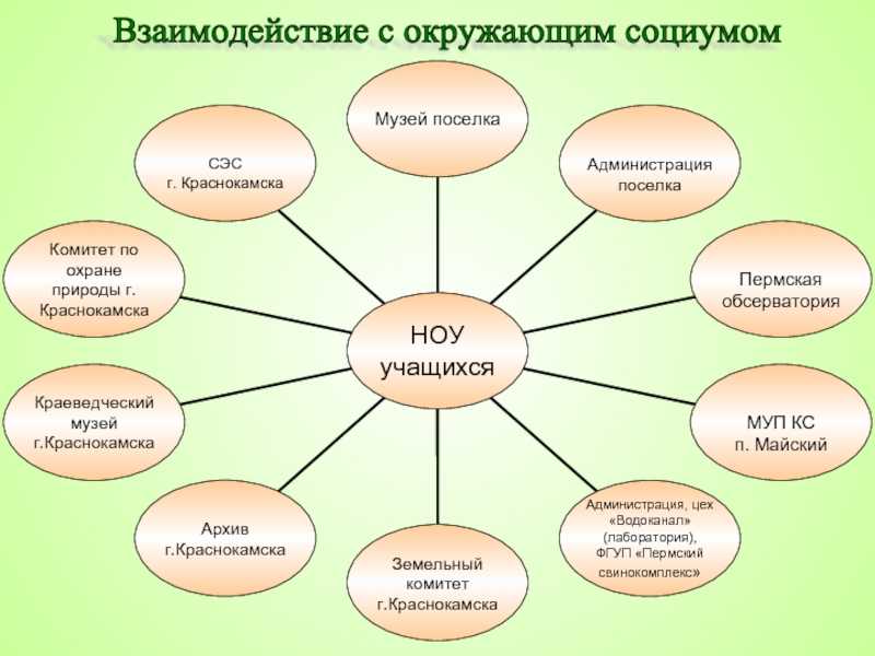 Требования к результатам освоения основной образовательной программы начального школьного образования детьми с овз - альманах
