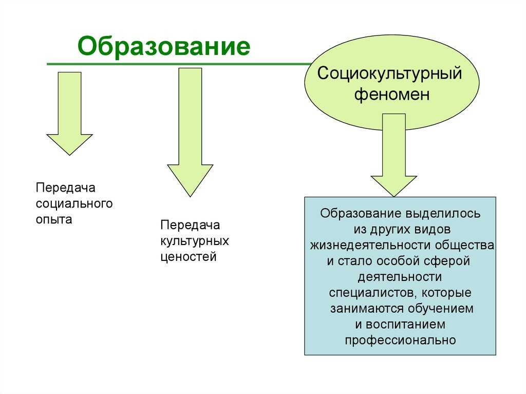 Образование это