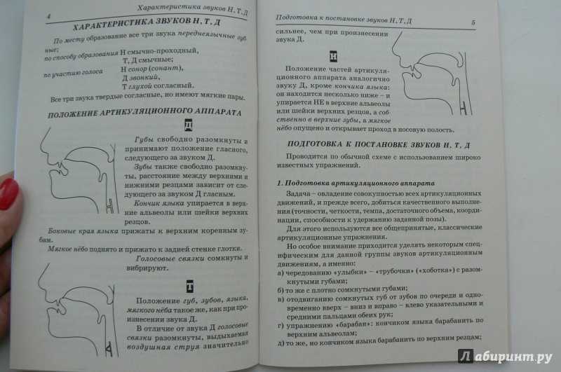 Постановка звука ть. постановка звука т. приемы устранения недостатков произношения ть, дь