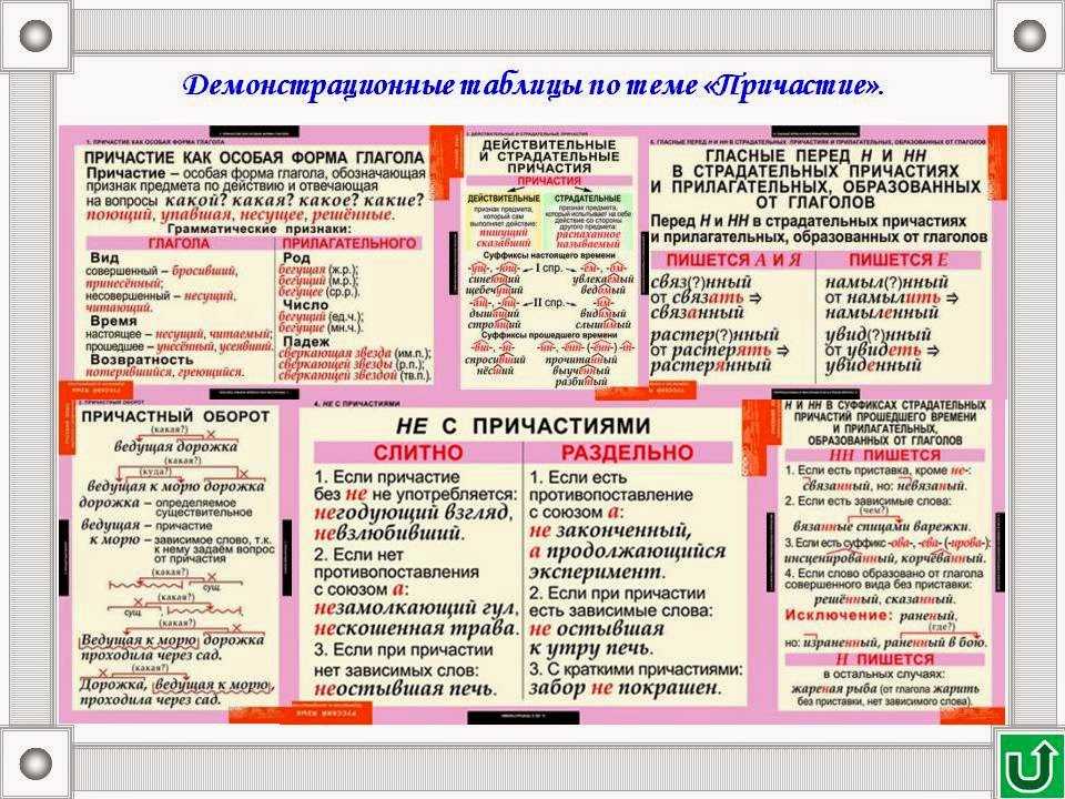 Что такое причастие в русском языке 7. правописание с не. распространенные грамматические ошибки