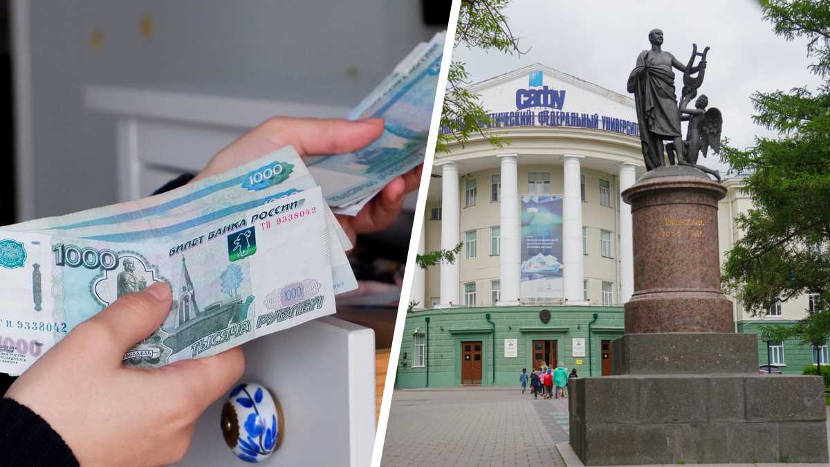 Стипендия до 50 тысяч рублей в месяц: какие выплаты, пособия и льготы могут получить студенты