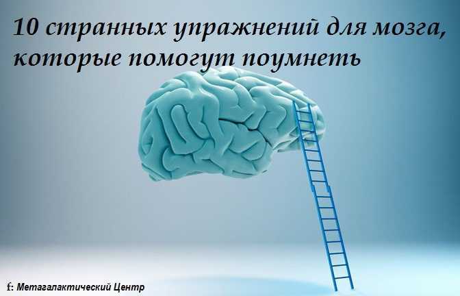 Счет до 10 для детей – цифры от 1 до 10 – задания скачать – практические задания – развитие ребенка