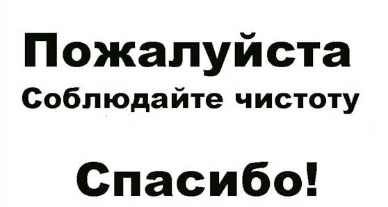 Словосочетание со словом на чистоту