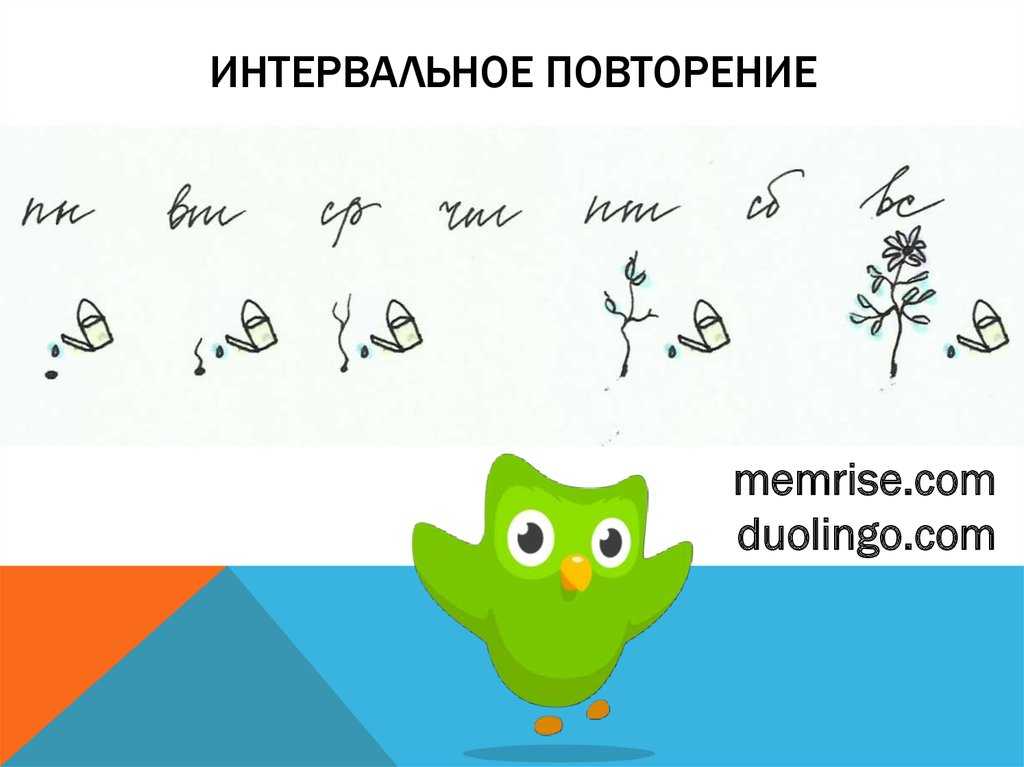 Как пишется чтобы – как легко понять и запомнить правило слитного и раздельного написания