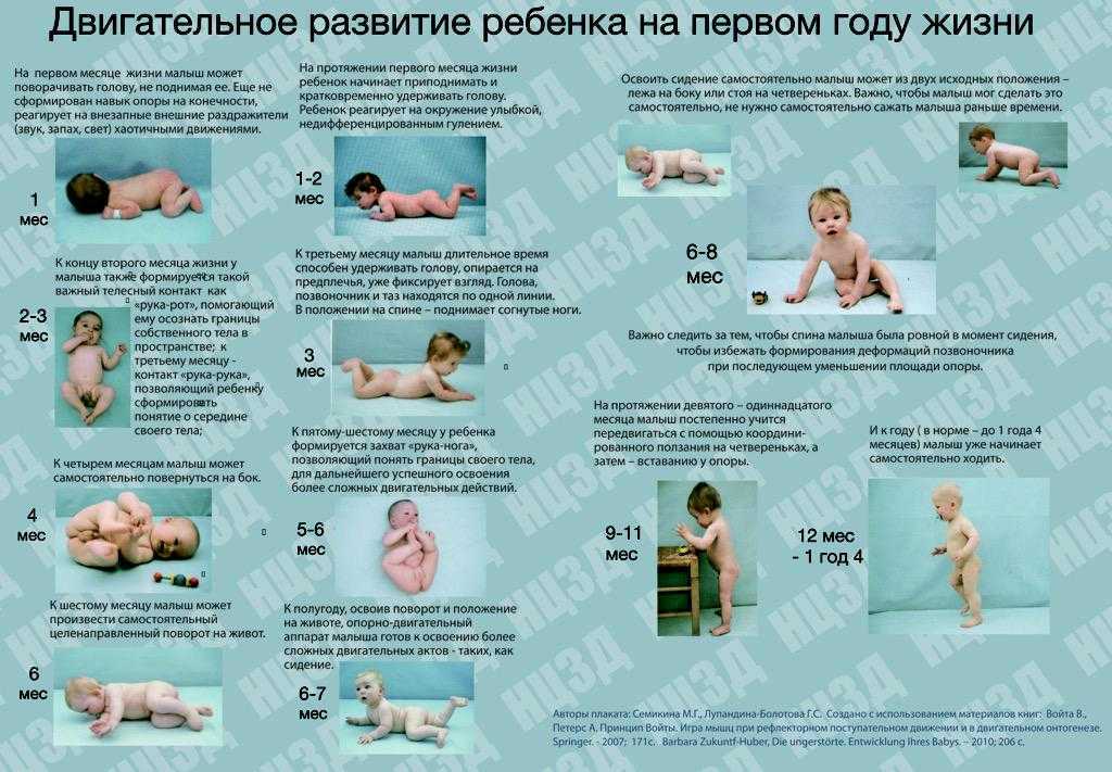 Все о развитии ребенка на 11 месяце жизни