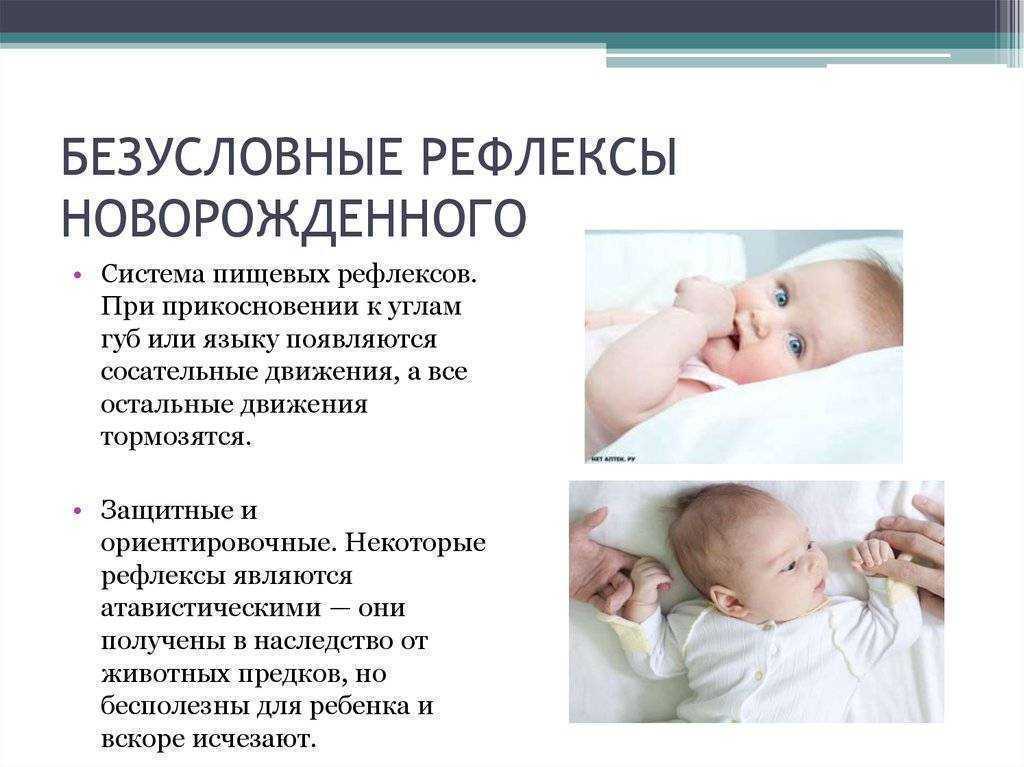 Рефлексы ребенка первого года жизни