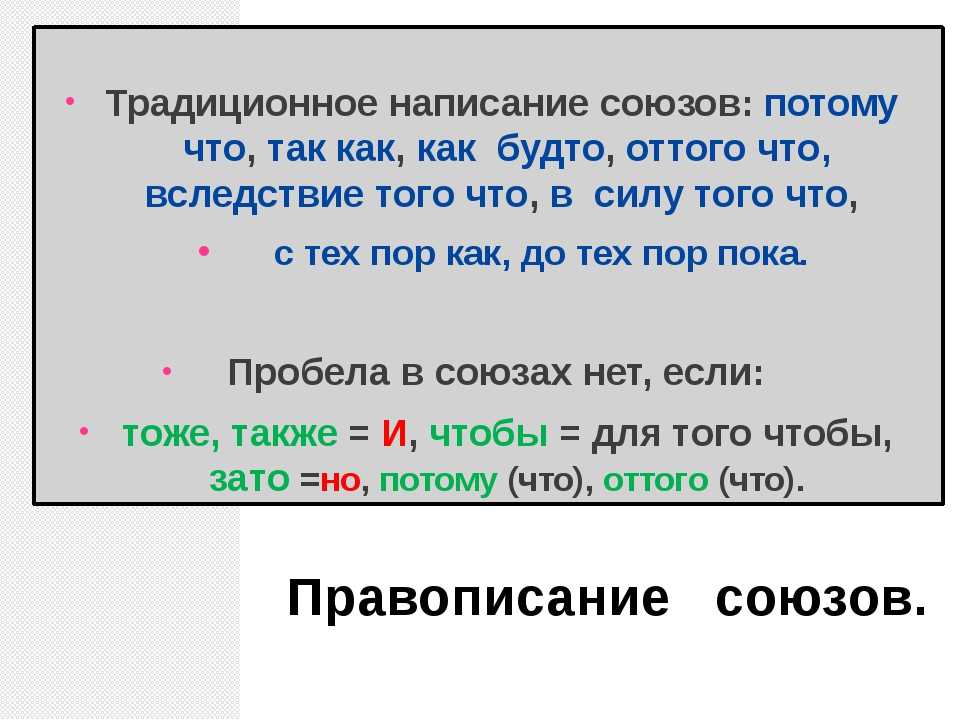 Правописание не и ни в разных частях речи - умскул учебник